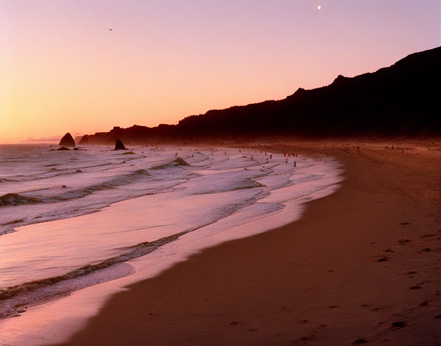 Tranquil sunset beach scene with crescent moon and pink sky