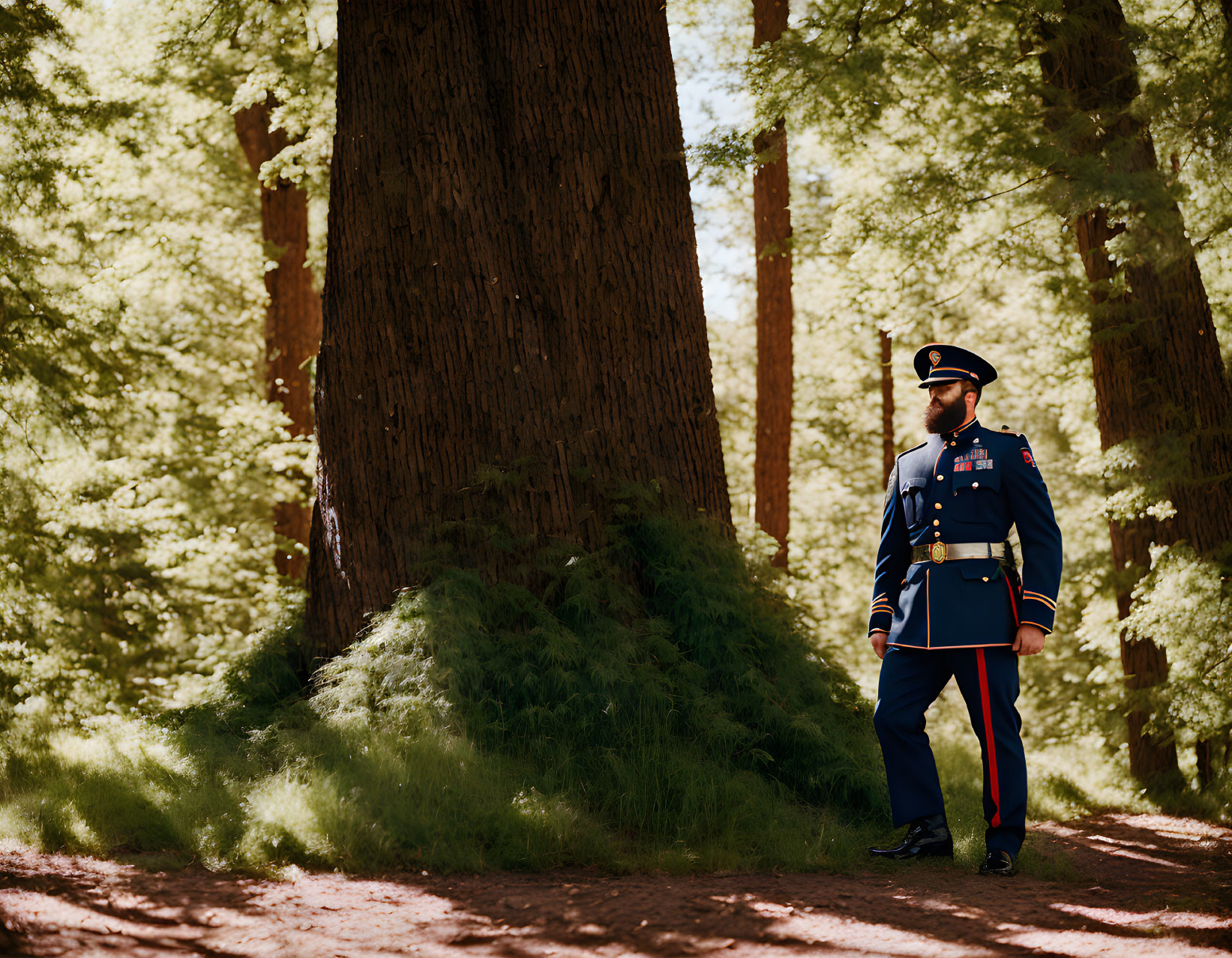 Uniformed person in forest with sunlight filtering through trees