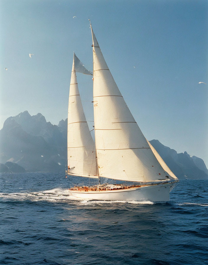 Sailboat sailing on blue ocean with mountains and seabirds