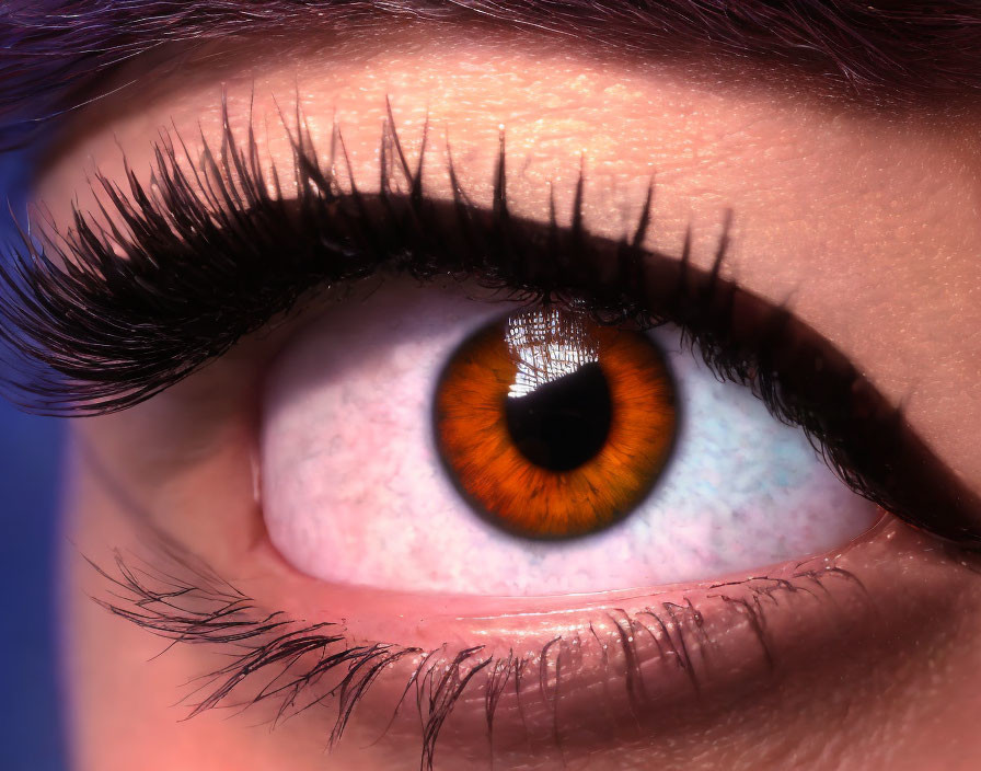 Detailed close-up: human eye with orange iris, black eyelashes, and makeup on blue backdrop