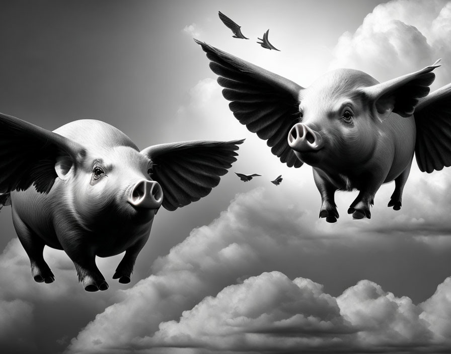 if pigs could fly