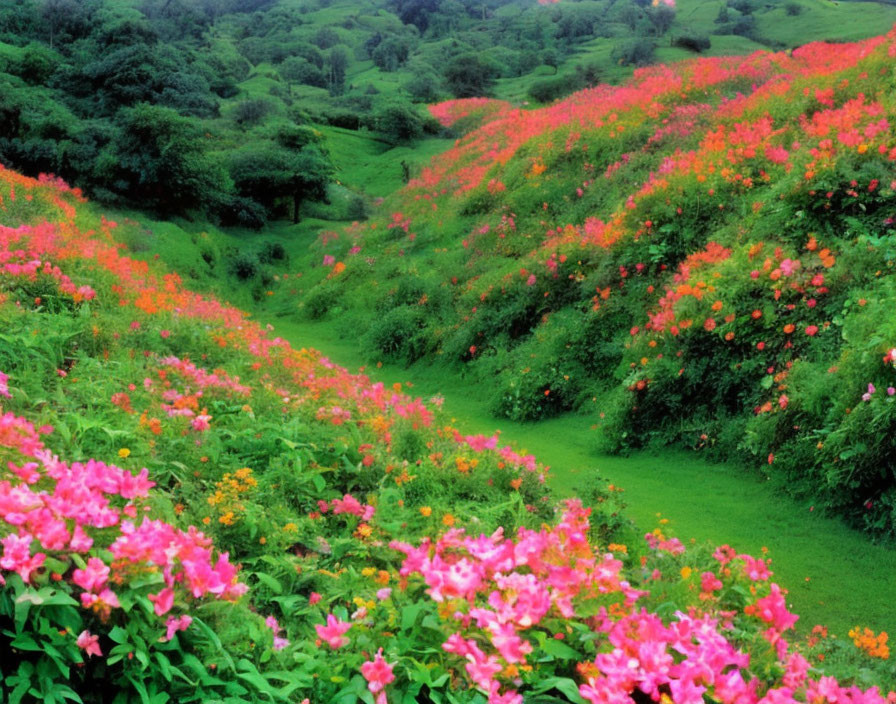 Lush green foliage with pink and orange flowers on vibrant hillside