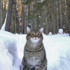 Realistic painting of tabby cat in snowy forest with light and snowflakes.
