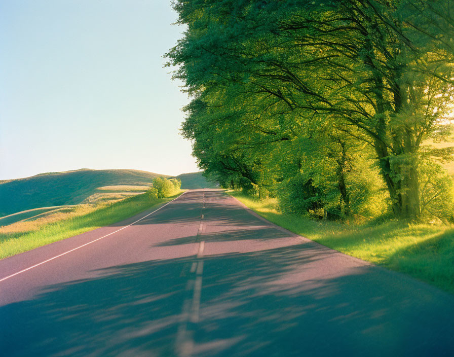 Tranquil road lined with trees under blue sky and hills in the distance