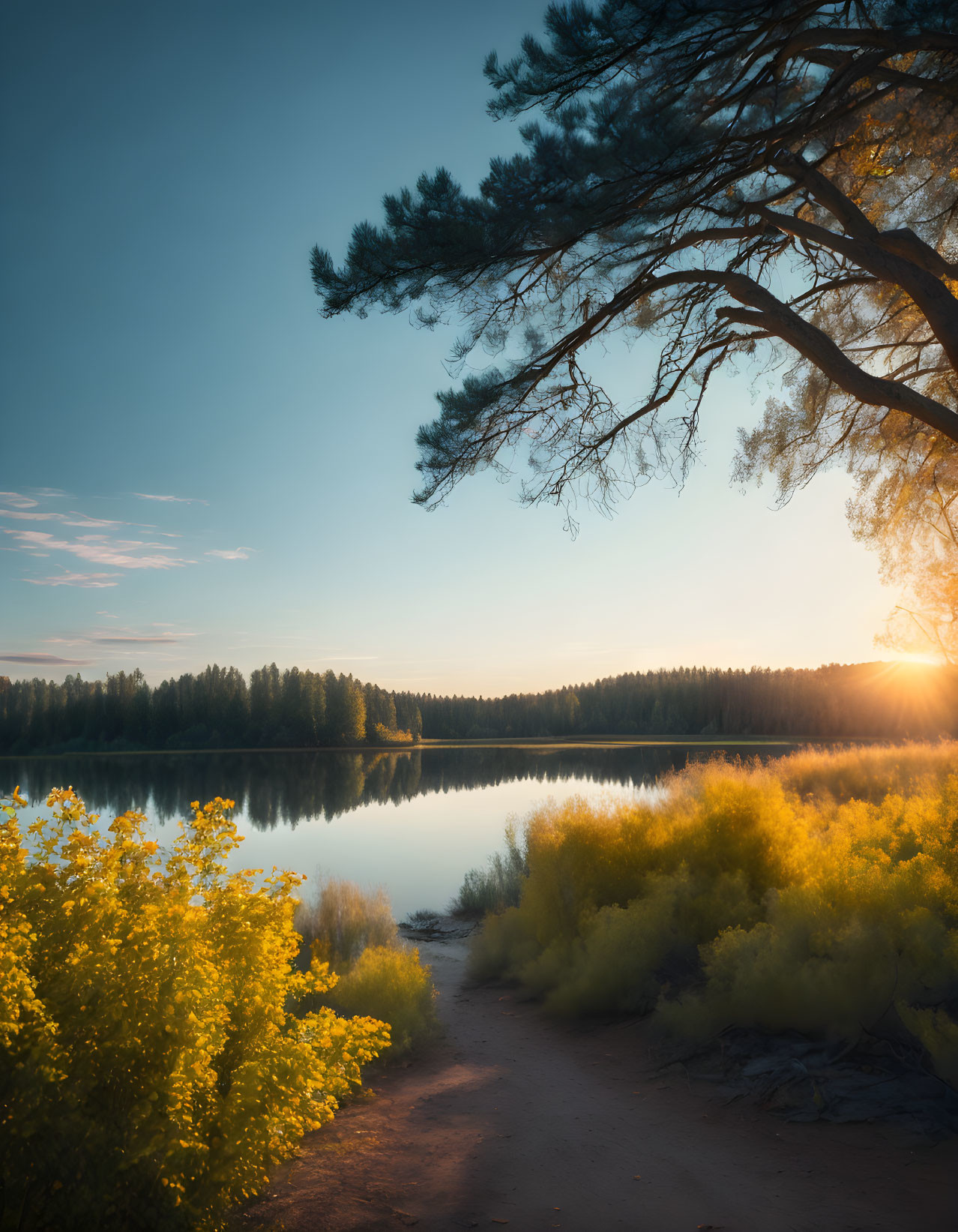 Tranquil sunrise scene with lake, yellow flowers, and pine branches