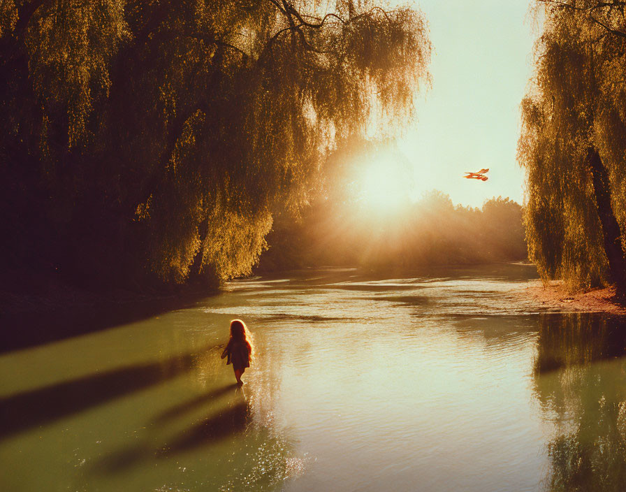 Person standing in river under weeping willows in golden sunlight with flying bird