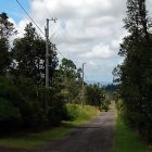 Country Road Landscape with Green Trees and Cloudy Sky
