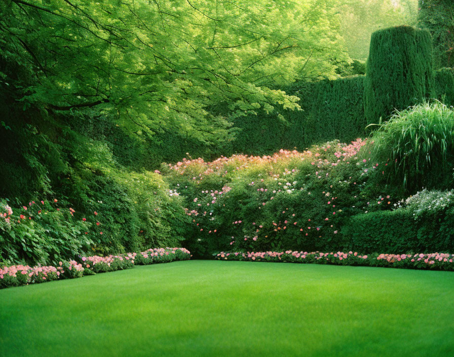 Vibrant Green Grass, Pink Flowers, Shrubs, and Trees in Lush Garden