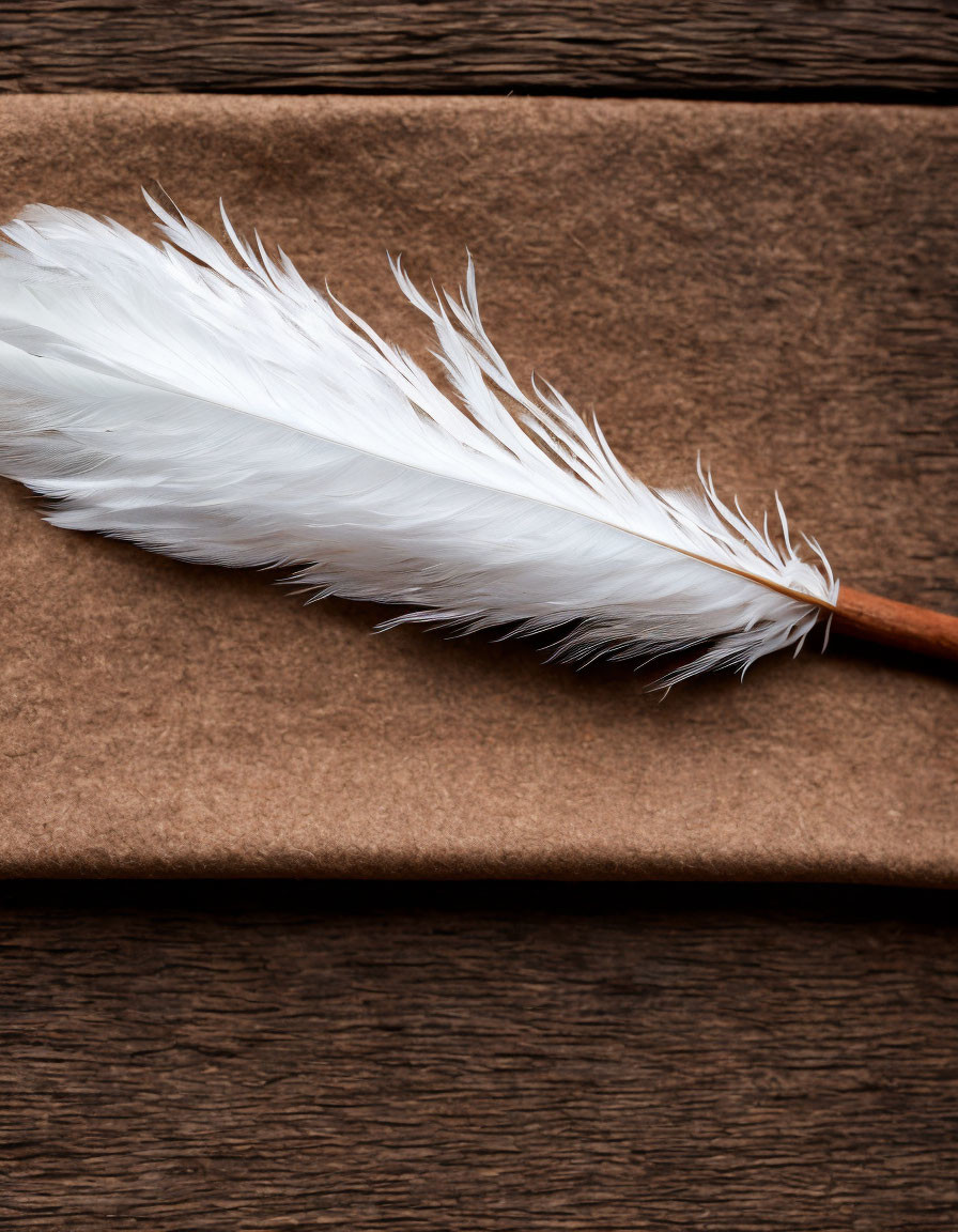White Feather Quill on Textured Brown Background