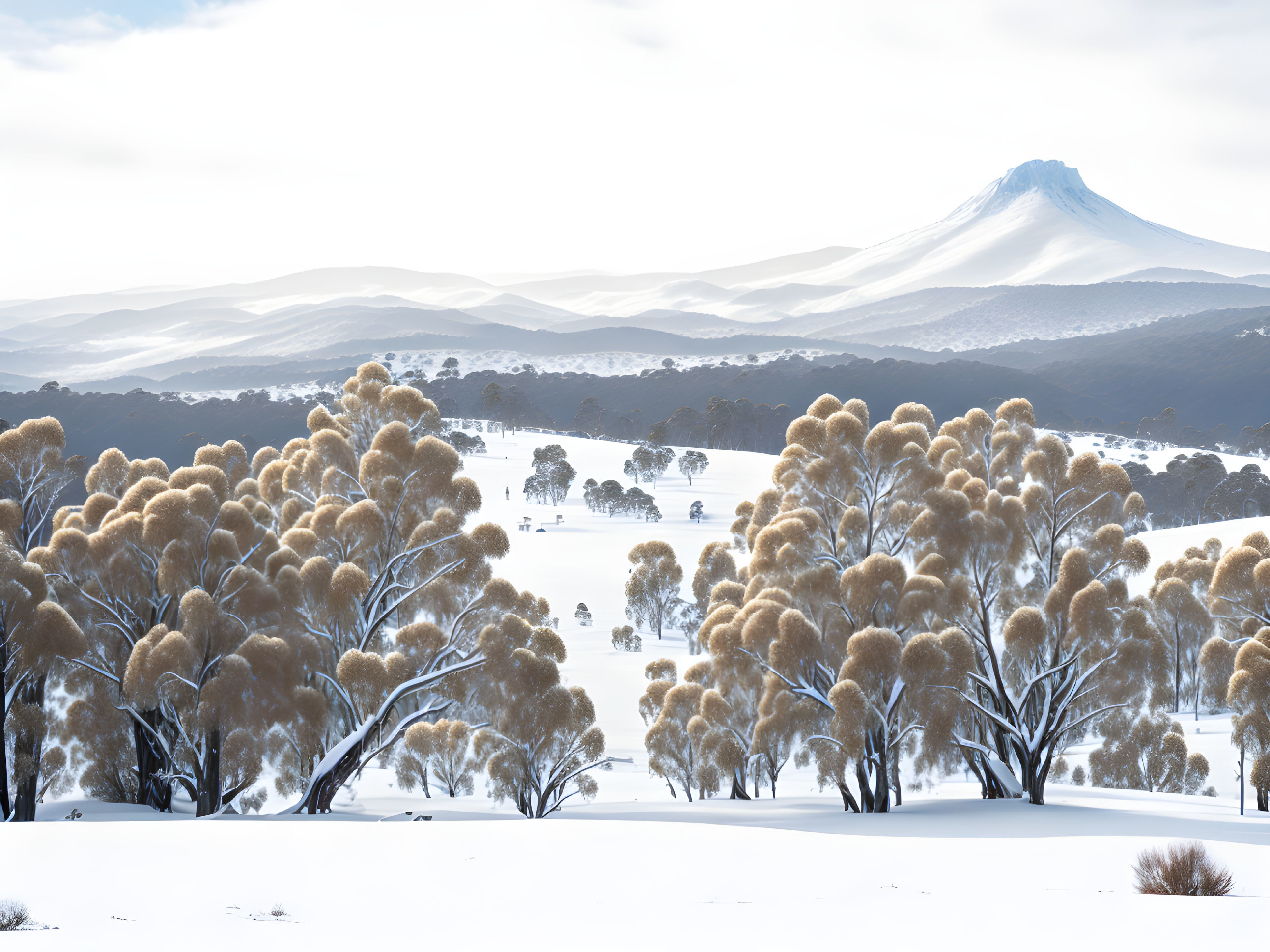 Winter Wonderland: Frosty Trees and Mountain