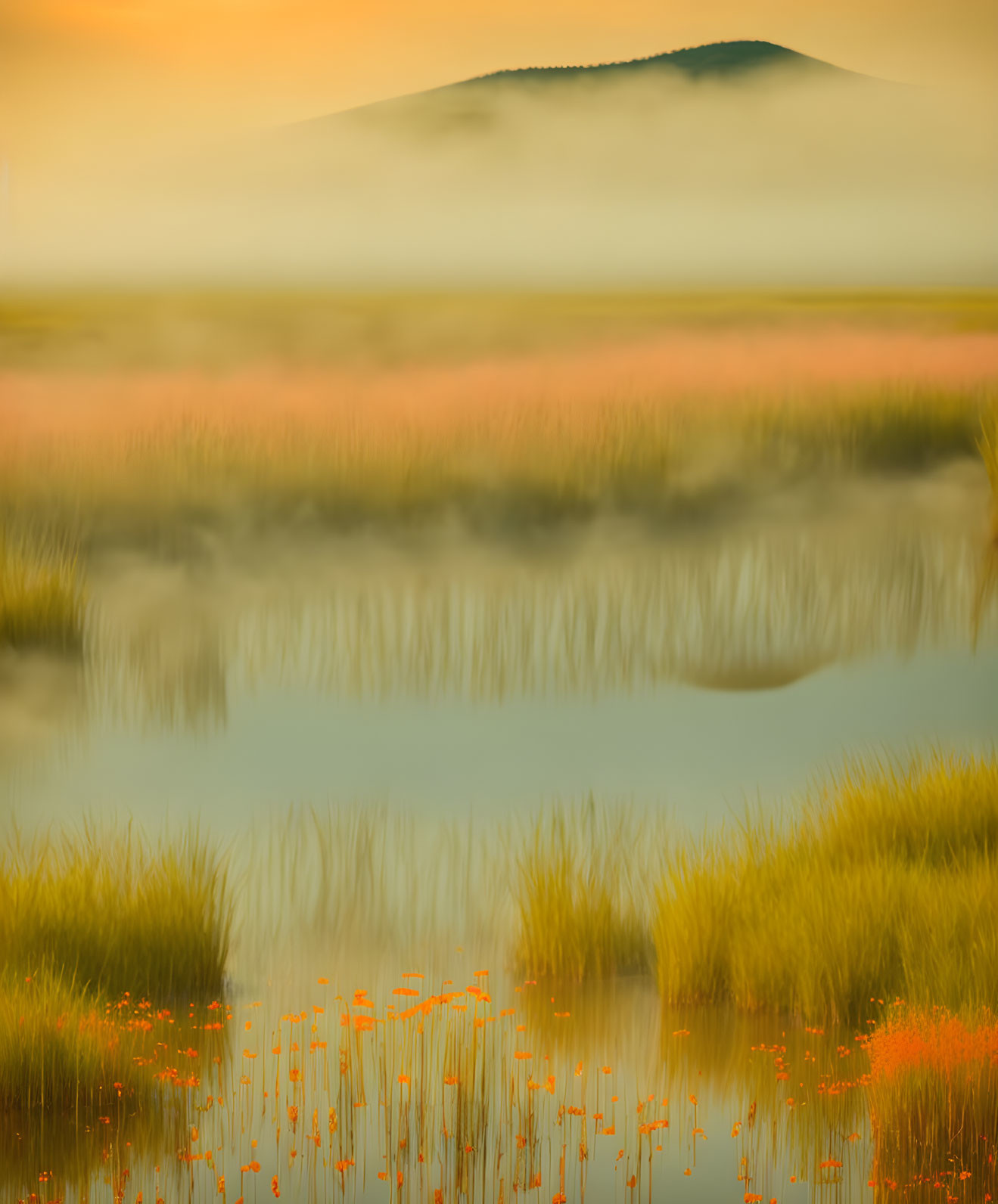 Tranquil Twilight Meadow