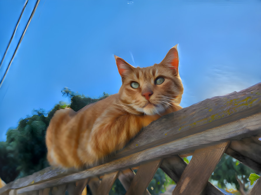 Painting of a cat 2
