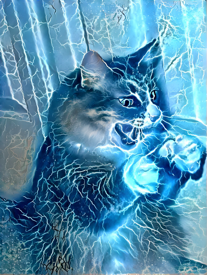 Cat Sorcery