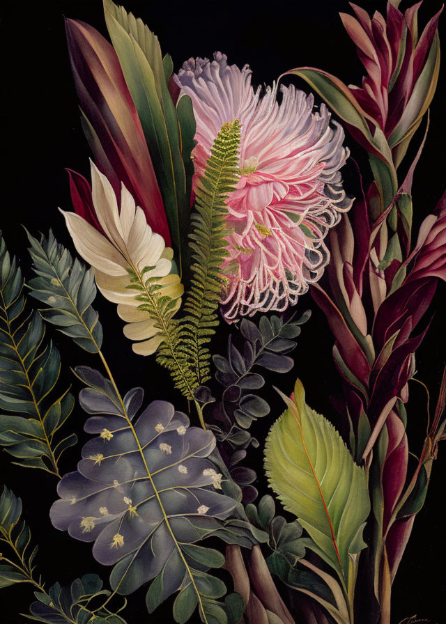 Botanical illustration featuring diverse plants and pink flower