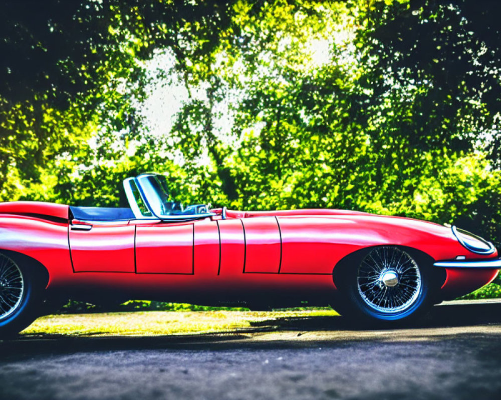 Red Convertible Sports Car Parked Under Trees on Sunny Day