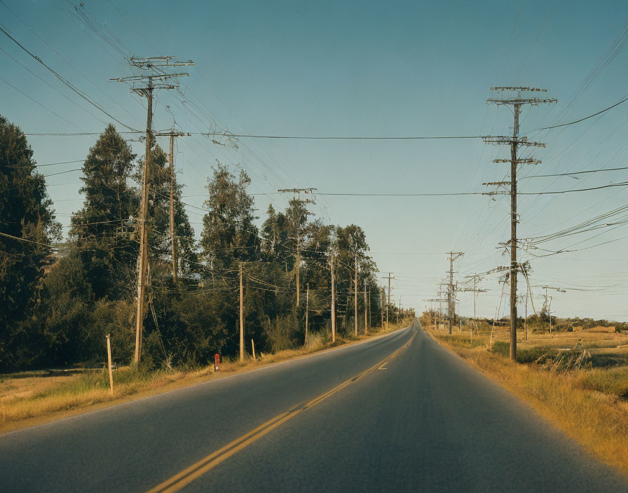 Scenic road with electricity poles, trees, and figure at golden hour