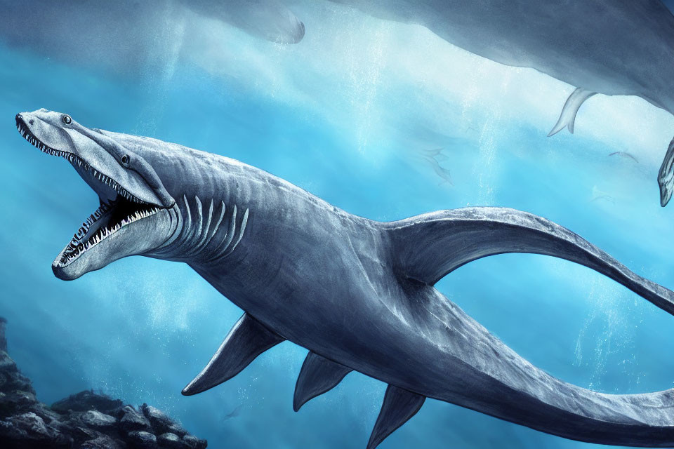 Prehistoric Plesiosaurus Swimming in Ocean Scene