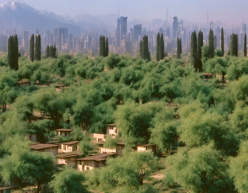 Greenery-covered buildings with city skyline and mountains in the background