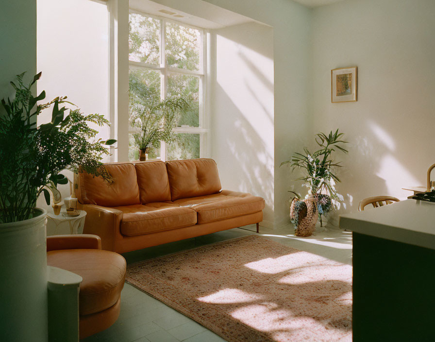 Cozy living room with brown leather couch, plants, and large window casting shadows
