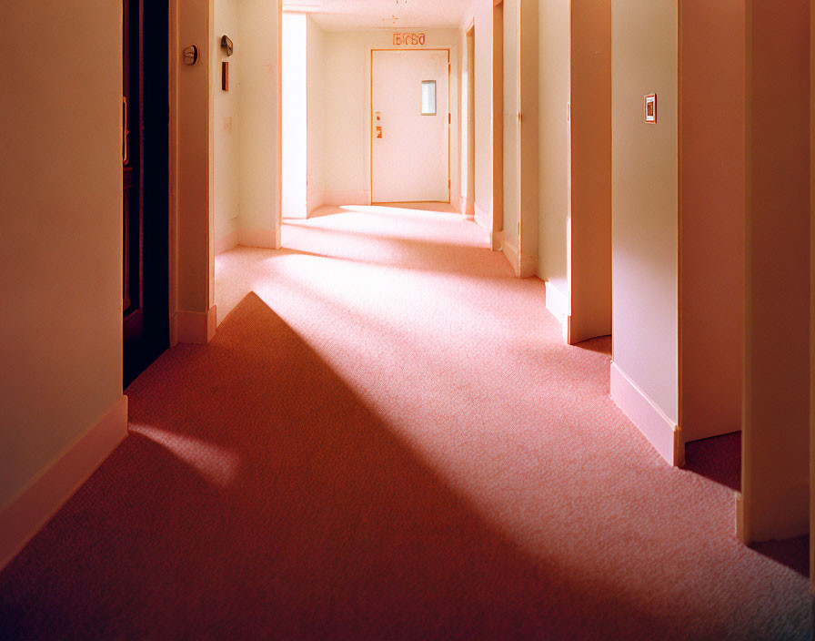 Sunlit Empty Hallway with Carpeted Floors and Multiple Doors