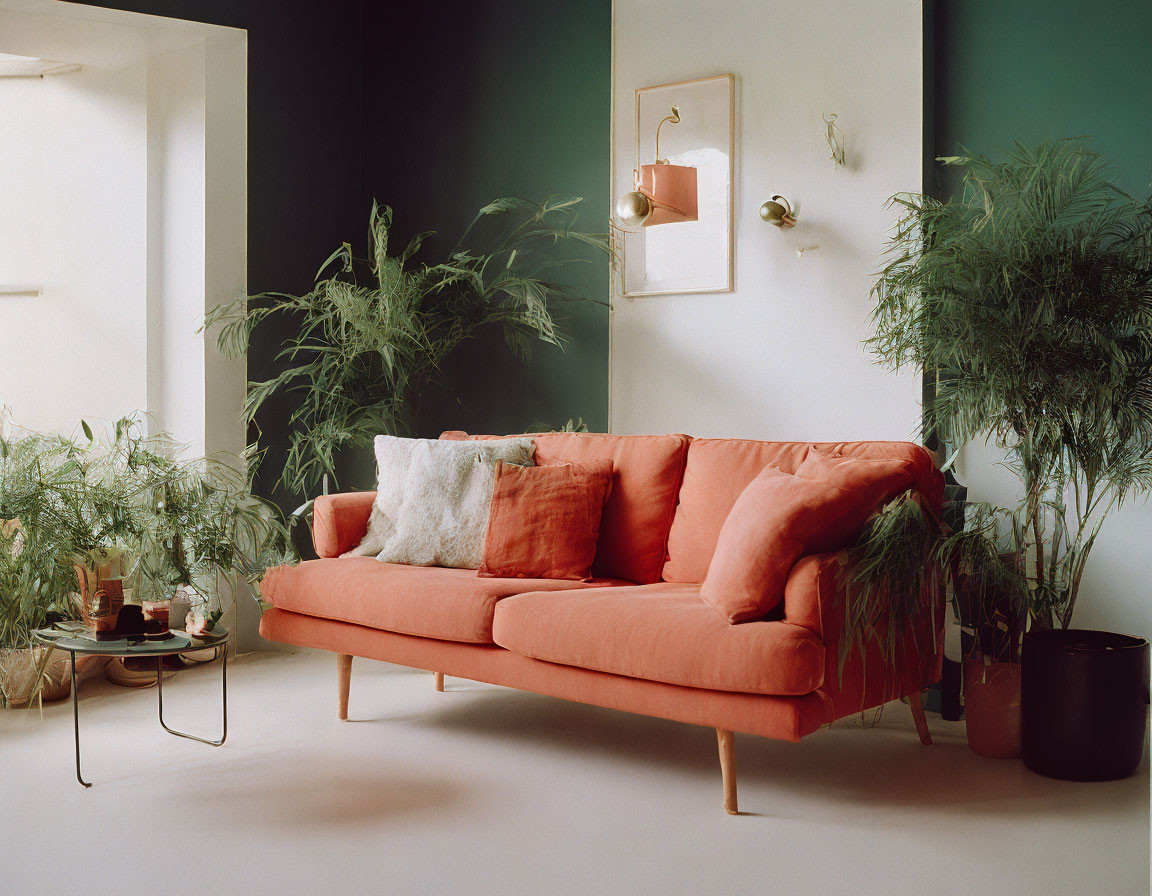 Coral Sofa, Green Plants, Terracotta Floor: Cozy Living Room Design