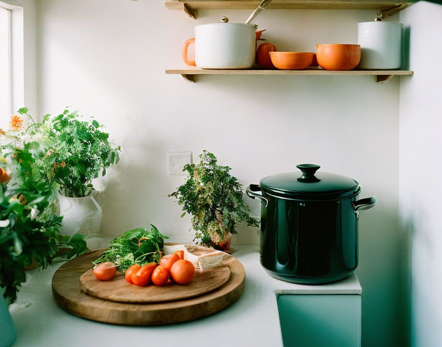 Sunlit Kitchen Corner with Plants, Tomatoes, and Colorful Pots