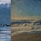 Orcas swimming near ocean surface with dramatic clouds and mountains