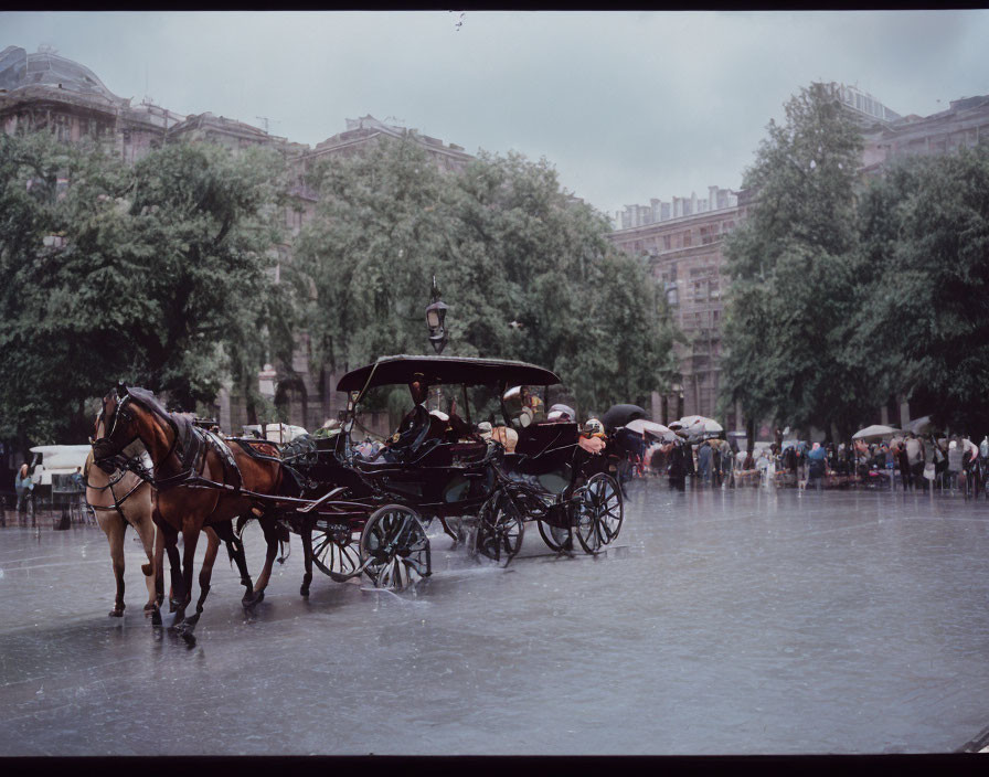 Horse-Drawn Carriage with Passengers on Rainy City Street