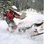 Snowmobiler in Red and Black Gear Riding White Snowmobile on Forested Mountainside