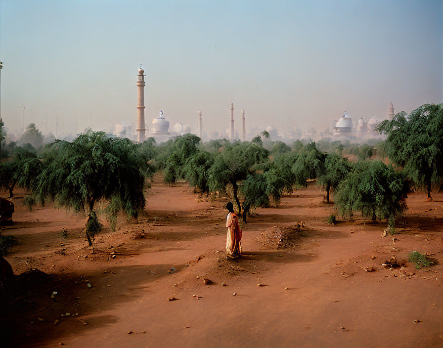 Person standing in sparse tree landscape with mosque and minarets.