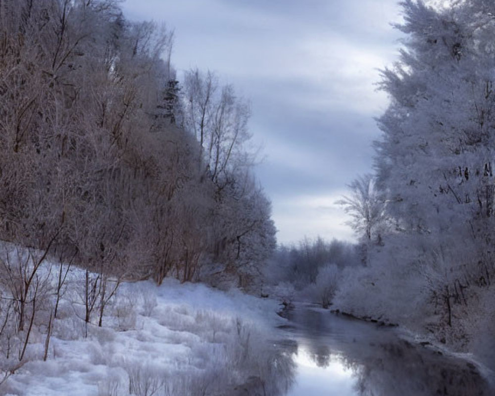 Tranquil Winter Landscape with Snow-Covered Trees and River