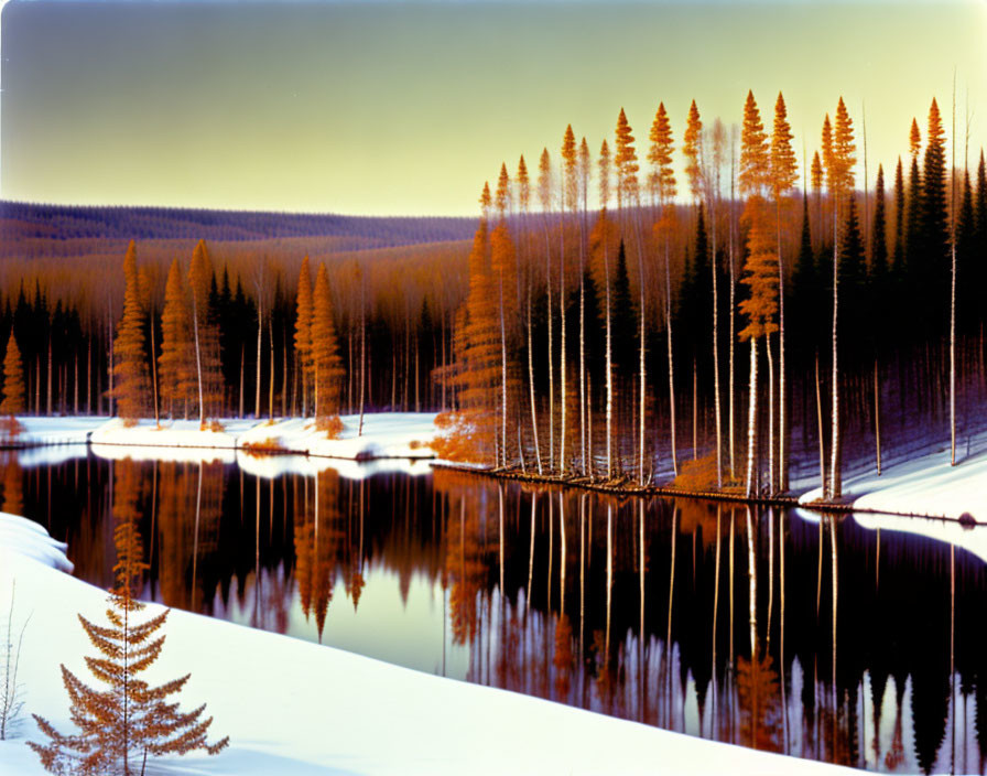 Snow-covered winter landscape with river, coniferous forest, and bare trees in sunlight