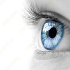Detailed Robotic Eye with Iris Patterns on Humanoid Face