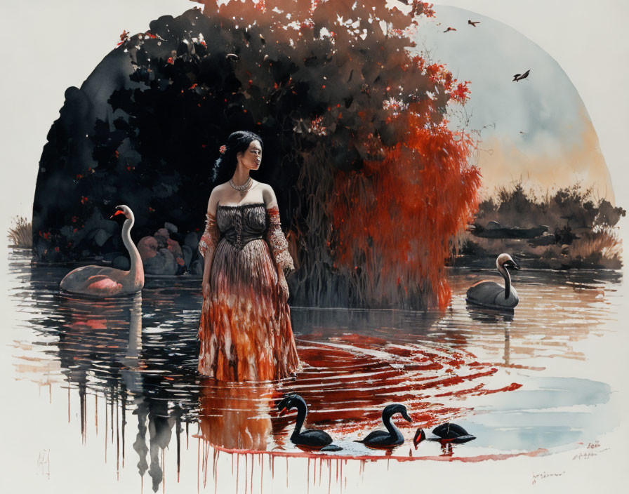 Peasant woman and black swans on sunrise