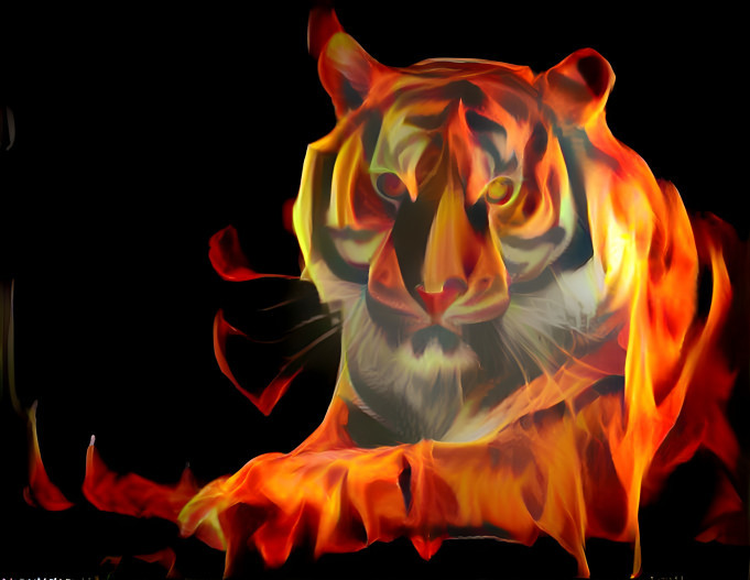 Flaming Tiger