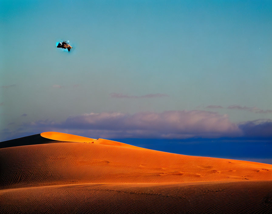 Person sandboarding down steep orange dune under blue sky