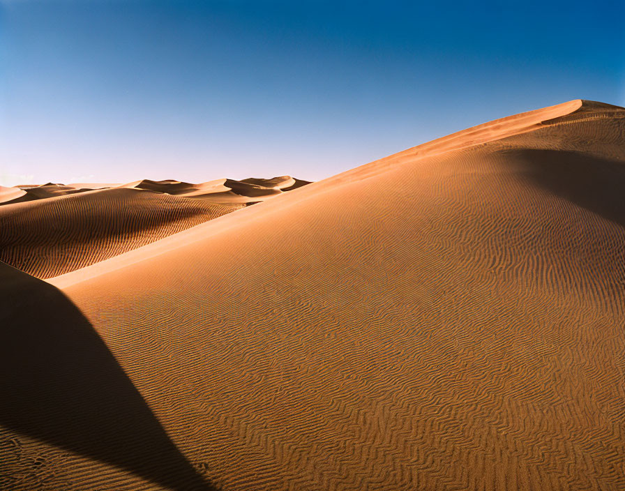 Rippled sand dunes under clear blue sky at sunset or sunrise