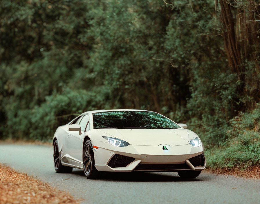 White Lamborghini Huracan on Forest-Lined Road