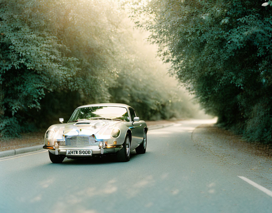 Vintage car cruising through peaceful forest scenery