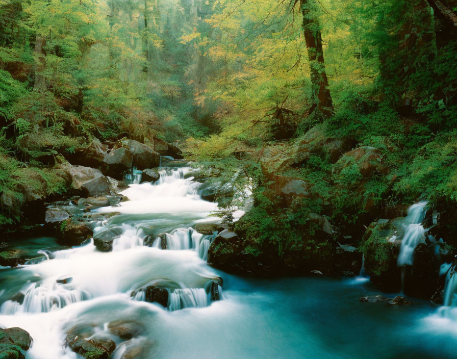 Tranquil forest stream with cascading waterfalls and autumn foliage