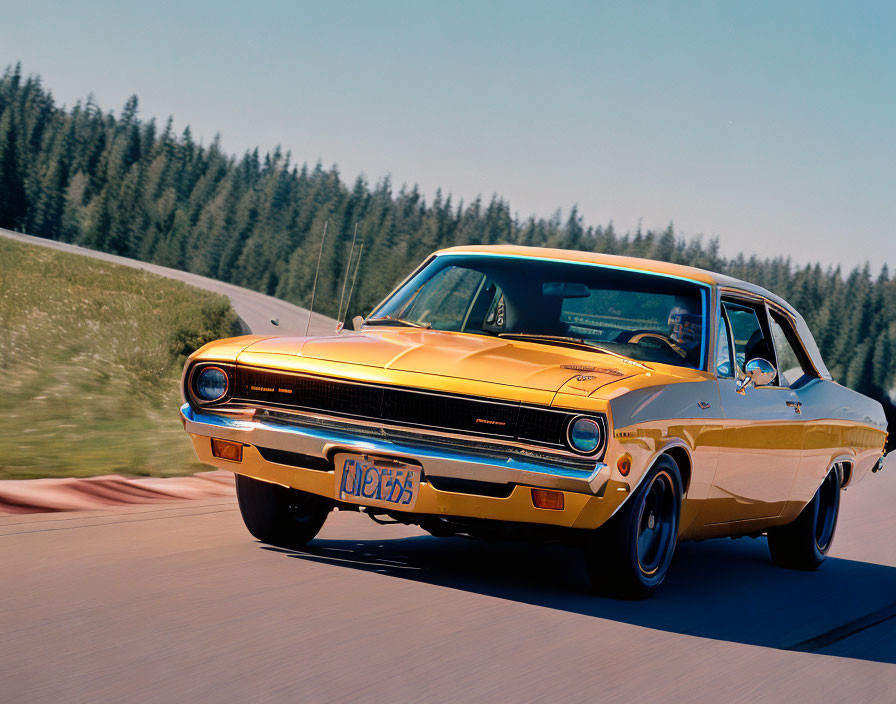 Vintage Yellow Muscle Car Driving on Road with Evergreen Trees and Blue Sky