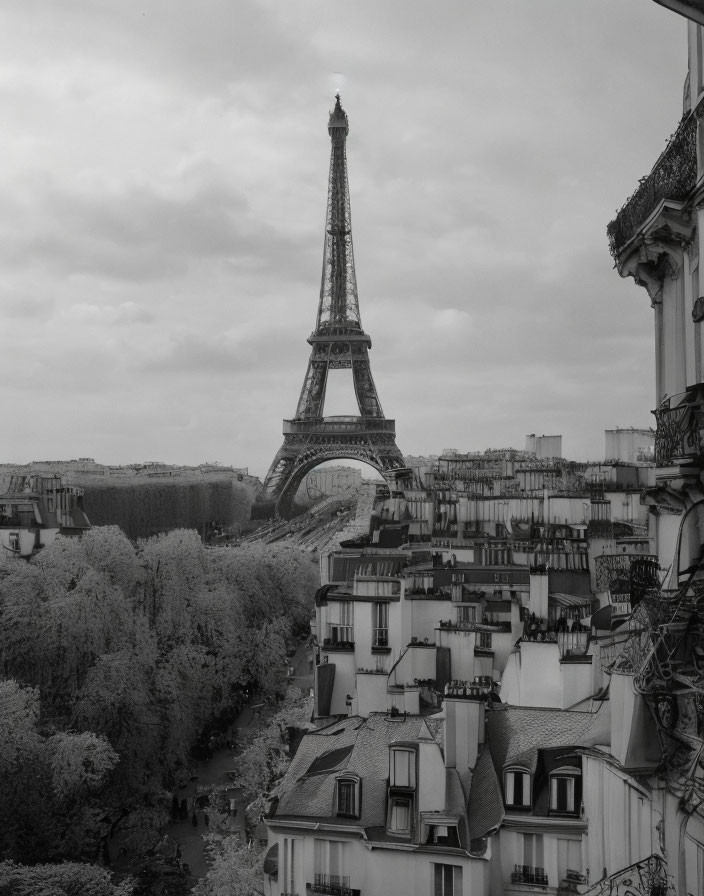Monochrome Eiffel Tower view from balcony in Paris