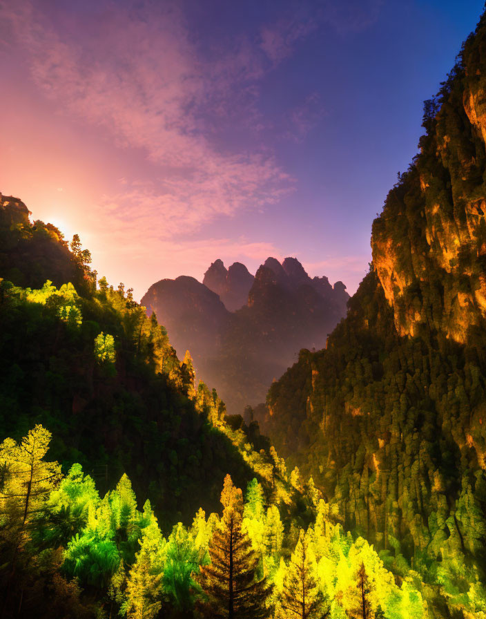 Majestic sunset over illuminated green forest and rocky mountains