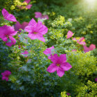 Bright pink flowers stand out in focus among a blur of blue and yellow wildflowers in a sunlit