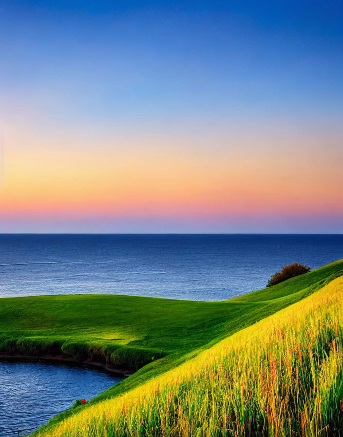 Scenic sunset over tranquil sea with green grass and red flower