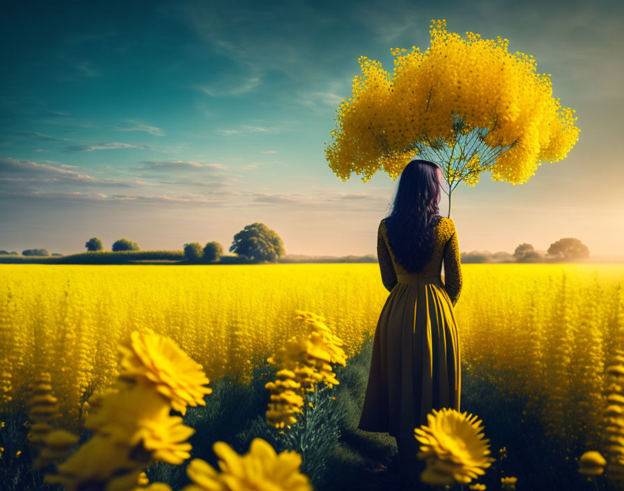 Lone woman in a field of yellow flowers 
