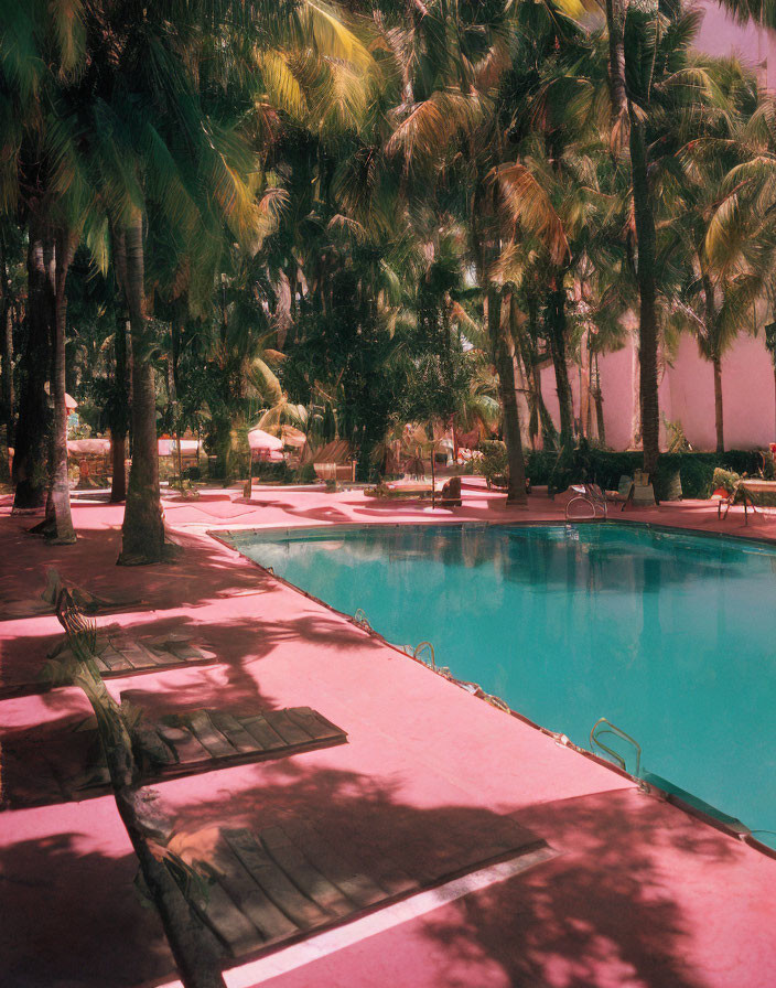 Tranquil pool area with palm trees and pink pavement for a relaxing tropical resort ambiance