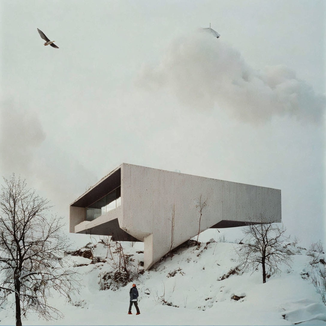 Person walking near modern cantilevered building on snowy hillside with birds and bare trees.