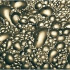 Detailed Golden Spiral Patterns on Reflective Surface