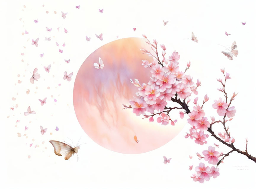Tranquil illustration: blossoming tree branch, pink flowers, butterflies, pastel sunset.